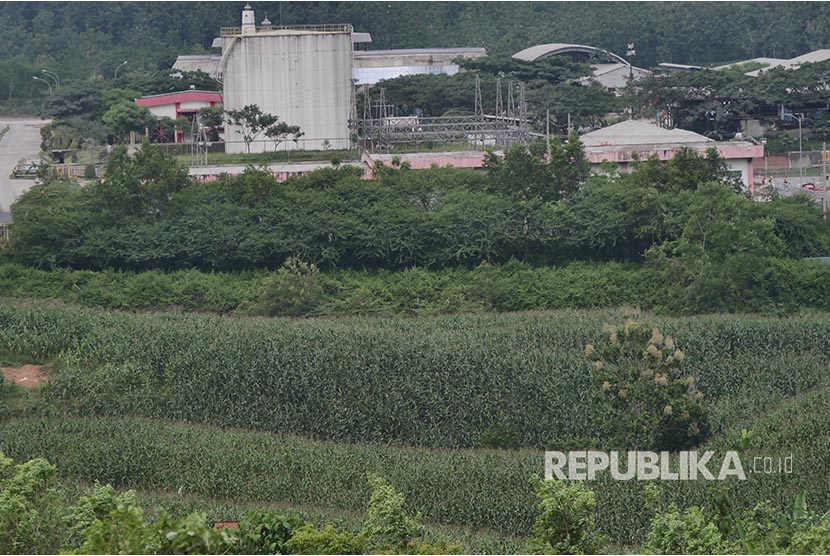 Lahan kebun holtikulutura di sekitar area pabrik Semen Gresik Rembang.