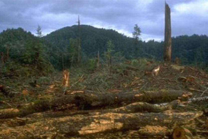 Lahan kritis di kawasan hutan Jawa Barat