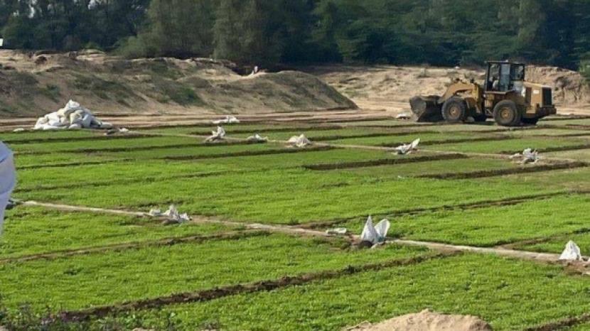 Lahan pertanian di Arab Saudi.
