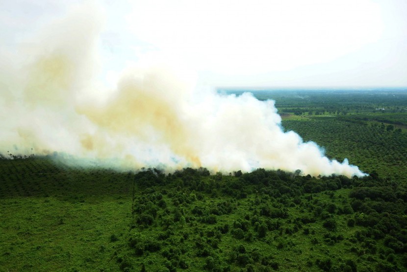 Lahan terbakar terlihat saat dilakukan pantauan udara melalui Heli Bell 412 milik Kementerian Lingkungan Hidup dan Kehutanan di Kabupaten Kubu Raya, Kalbar, Kamis (25/8).