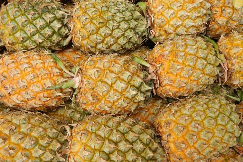 Lampung is the country's largest exporter of canned pineapple mainly to Spain averaging 167,018 tons per year. (Illustration)