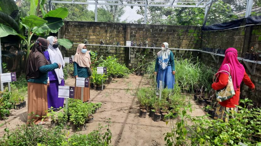 Lansia di Desa Rahayu, Kecamatan Soko, Kabupaten Tuban, Jawa Timur membudidayakan tanaman obat da sayur keluarga.