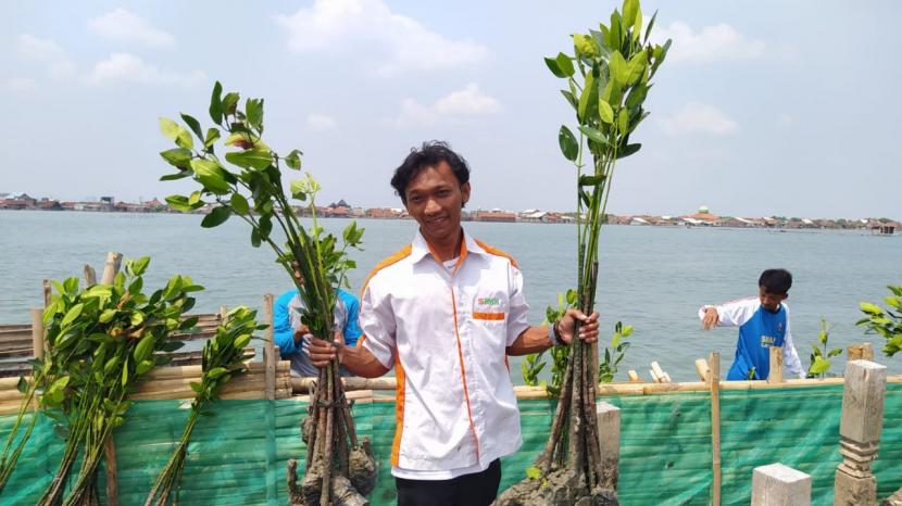 Laznas BMH ikut terlibat dalam penanaman 1.000 mangrove di Dukuh Timbulsloko, Kabupaten Demak, Ahad (17/10).