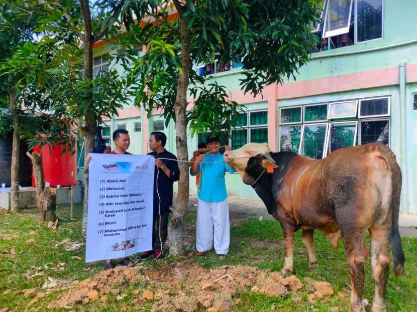 Laznas BMH Perwakilan Kepulauan Riau menyalurkan hewan qurban berupa  empat ekor sapi super dan lima ekor kambing super ke Batam dan sekitarnya, termasuk Pulau Seraya.