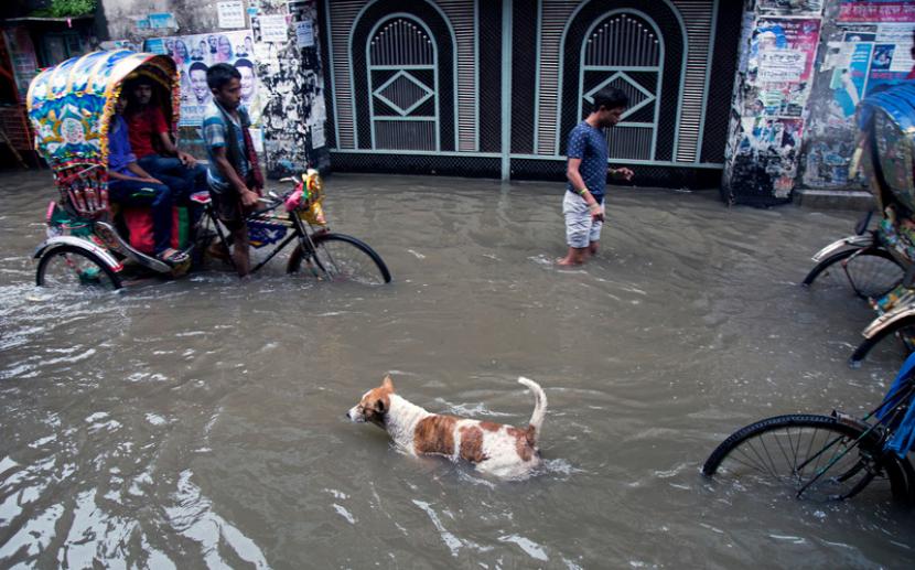 Lebih dari satu juta orang harus mengungsi karena banjir di Bangladesh.