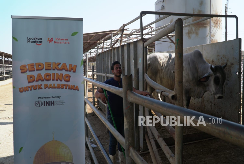 Lembaga Kemanusiaan International Networking for Humanitarian (INH) bersama Relawan Nusantara menunjukkan aksi nyata solidaritas kemanusiaan melalui program Sedekah Daging untuk Pengungsi Gaza-Palestina. 