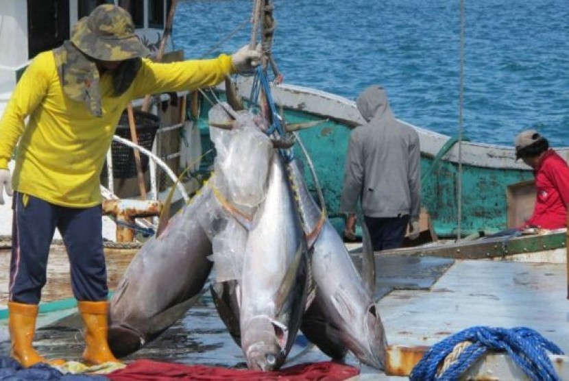 Lembaga 'Pew Charitable Trusts’ mengatakan, penangkapan ikan komersil terus berlanjut pada tingkat yang hingga 3x lebih tinggi dari apa yang dianggap sebagai konsep berkelanjutan.