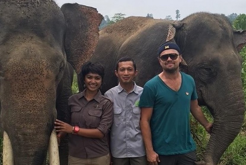 Leonardo DiCaprio menunjukkan foto di akun media sosialnya yang mengajak kepedulian terhadap gajah, khususnya di Sumatra Indonesia.