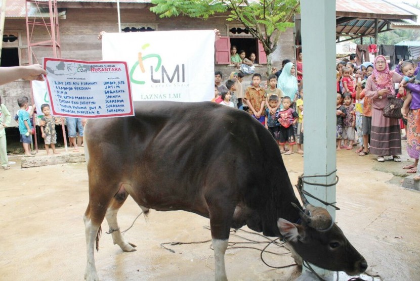 LMI menyalurkan bantuan dan distribusi daging kurban di Desa Patikalain, Kalimantan.