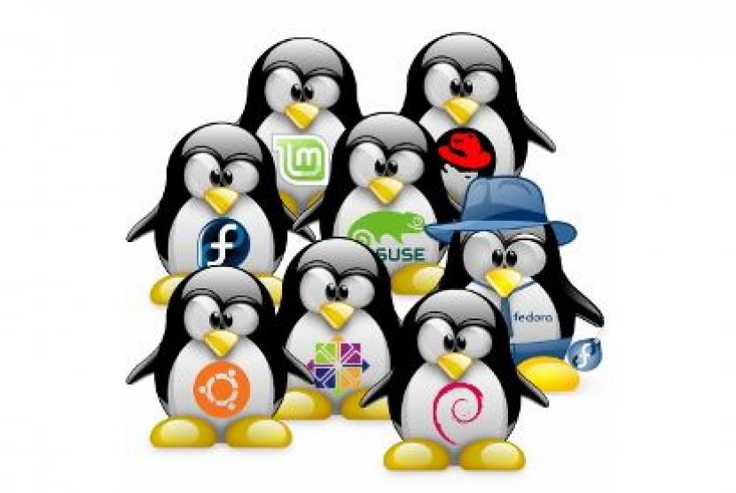 Logo distro-distro dalam Linux (ilustrasi)