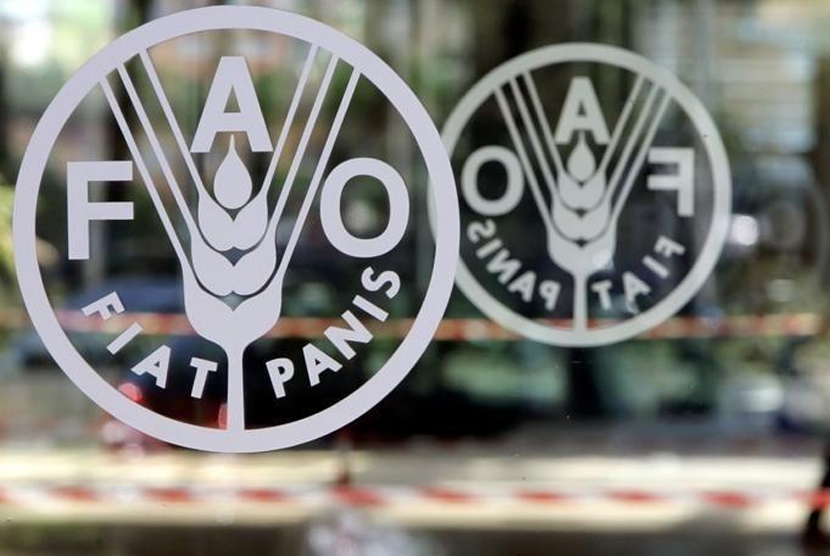 Logo FAO. Ilustrasi