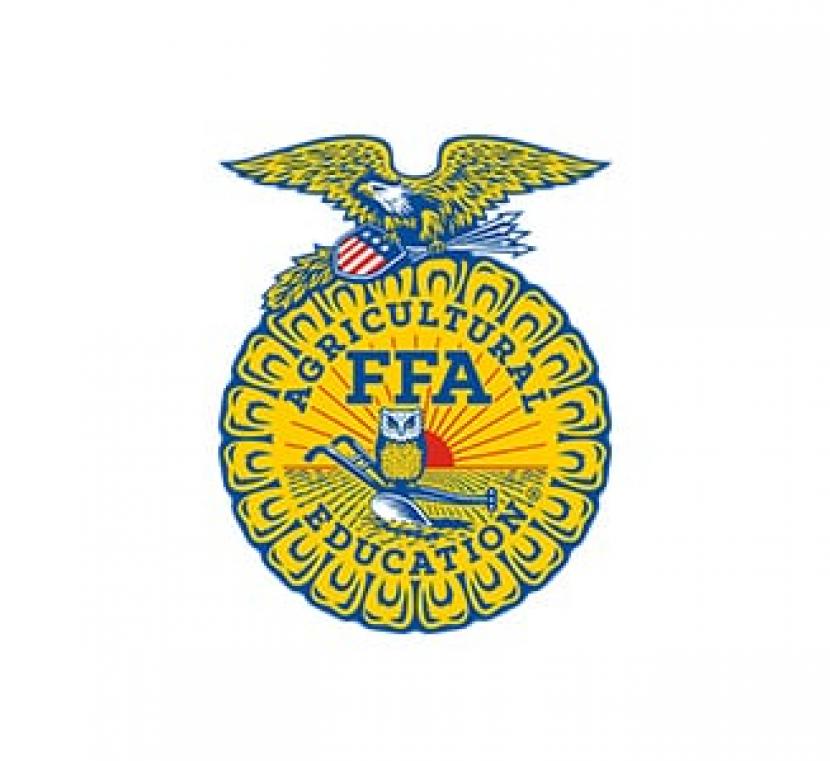 Logo FFA Australia