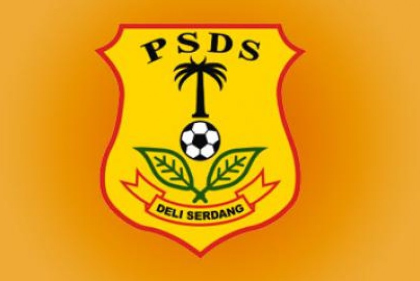 Logo PSDS