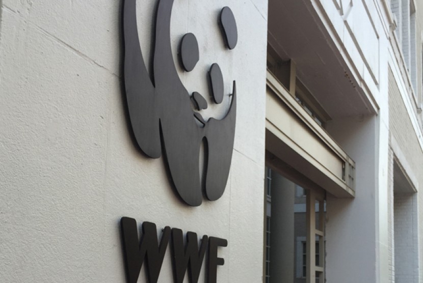 WWF Office.