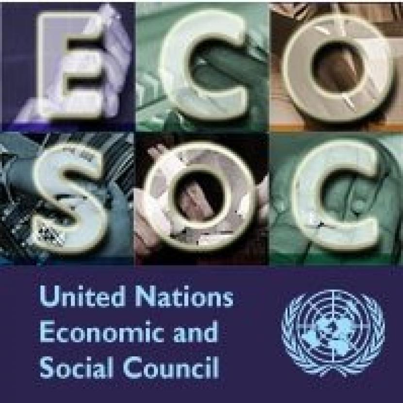 Logo ECOSOC