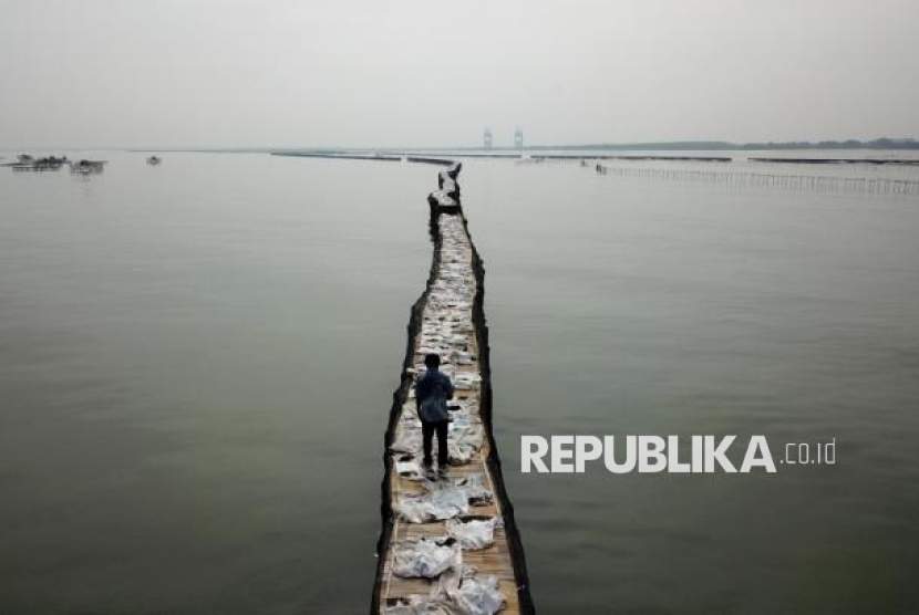 Lokasi pagar laut di perairan Pulau Cangkir, Kabupaten Tangerang, Jumat (10/1/2025).