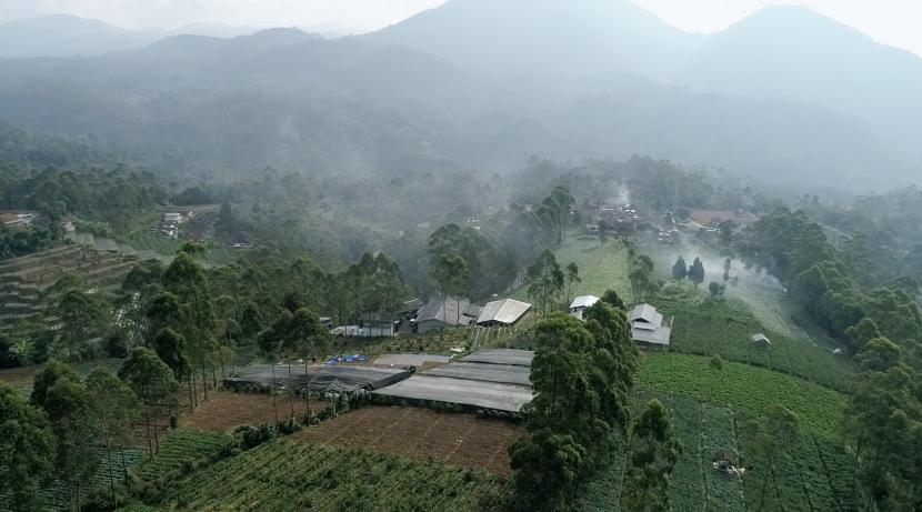 Lokasi Penyemaian dan produksi Koperasi Produsen Kopi Margamulya