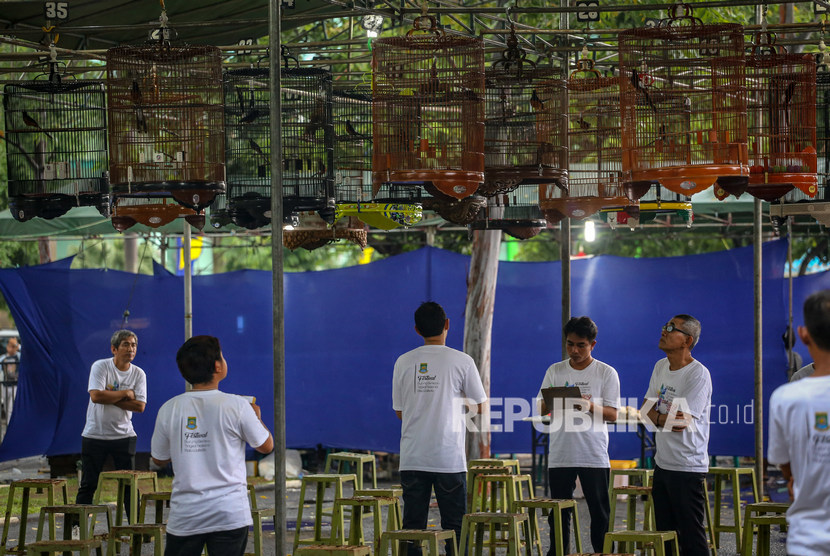 lomba burung kicau. (ilustrasi)