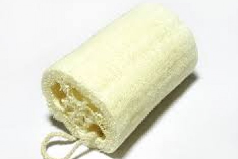 Loofah untuk mandi harus rajin dibersihkan demi menghindari bakteri yang menumpuk.