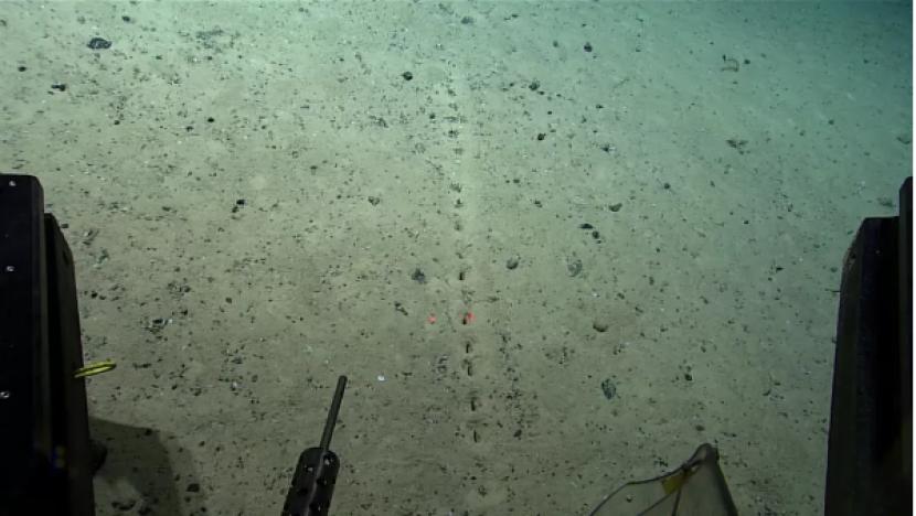 Lubang misterius yang ditemukan di dasar laut.
