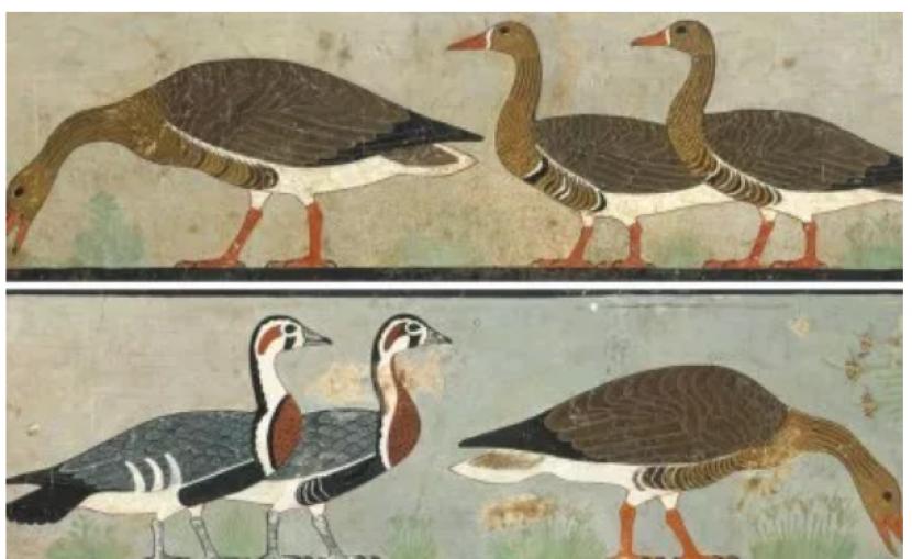 Lukisan berusia 4.600 tahun yang dikenal sebagai Meidum Angsa di Mesir.