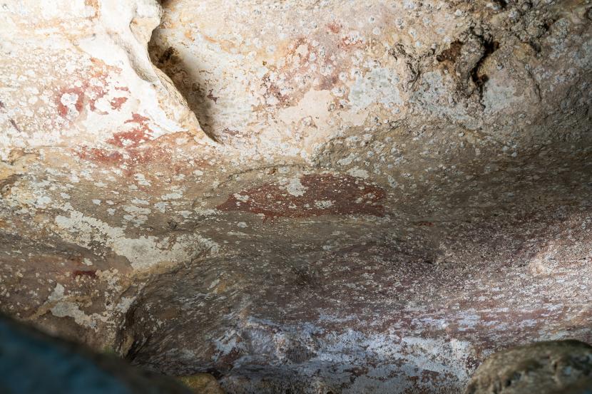 Lukisan gua berumur 51.200 tahun yang lalu dari situs Leang Karampuang, Maros, Sulawesi.