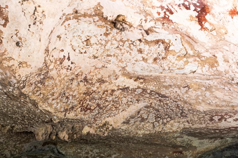 Lukisan gua di Situs Leang Karampuang, Maros, Sulawesi Selatan, yang ditaksir berumur 51.200 tahun yang lalu.
