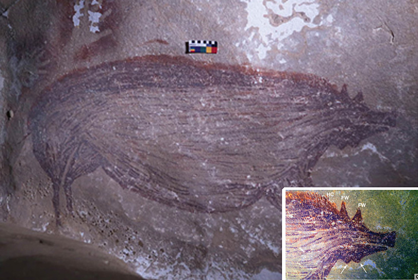 Lukisan gua tertua di dunia berusia sekitar 45.500 tahun ditemukan di Leang Tedongnge, Sulawesi Selatan.