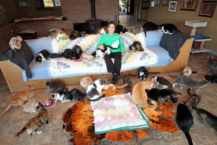 Lynea Lattanzio dan kucing-kucing liar yang ditampung di rumahnya.