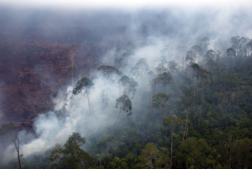 [ilustrasi] Asap mengepul dari kebakaran lahan gambut di kawasan penyangga Cagar Biosfer Giam Siak Kecil-Bukit Batu, Provinsi Riau, Selasa (1/4).  (Antara/FB Anggoro)