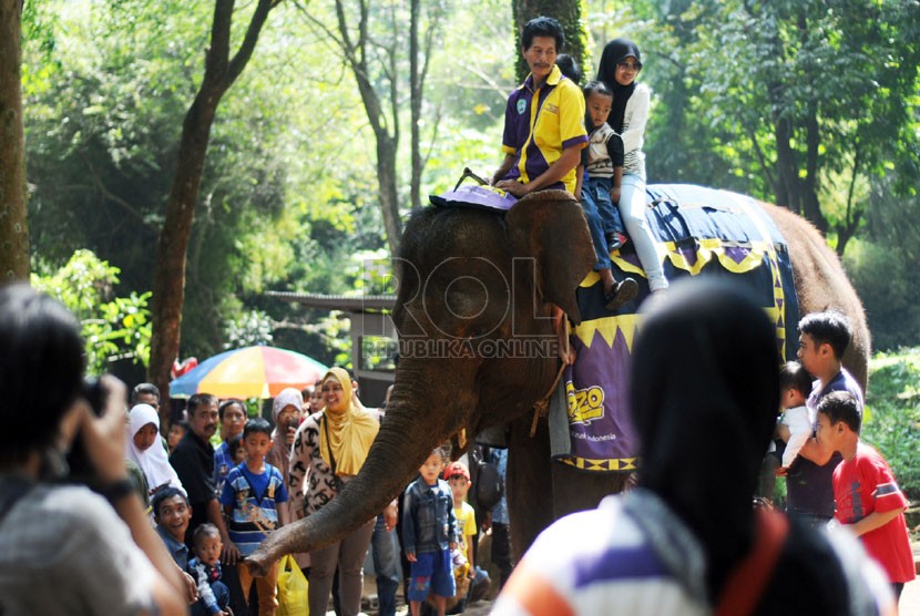  Pengunjung menaiki Gajah di kawasan wisata Kebun Binatang Bandung, Selasa(29/7).  (foto: Septianjar Muharam)