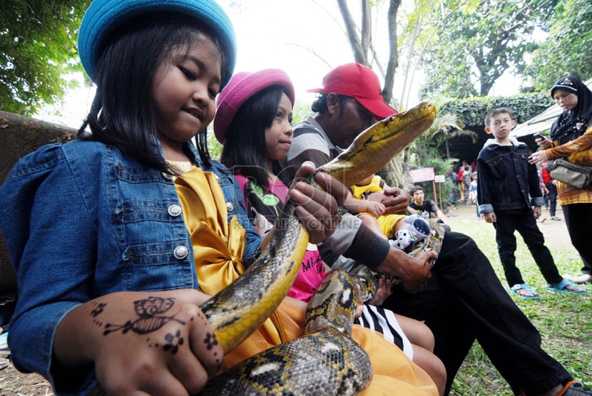    Anak-anak bermain bersama ular Sanca di kawasan wisata Kebun Binatang Bandung, Selasa(29/7).  (foto: Septianjar Muharam)