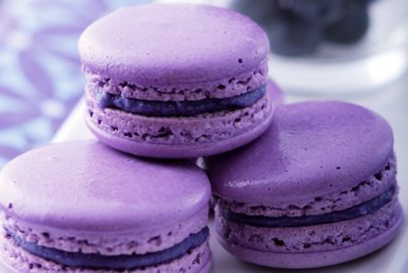 Macaroon Blueberry