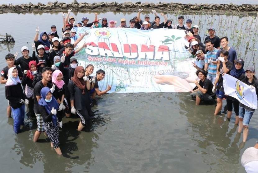 Mahasiswa AKOM BSI Jakarta bersama Anggota IMARF melakukan penanaman Mangrove di pesisir pantai Marunda.