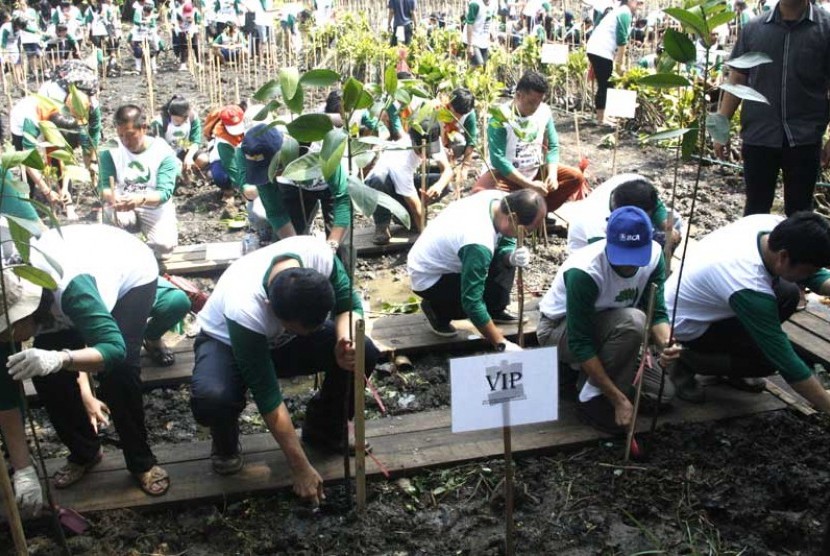 Mahasiswa dan berbagai elemen masyarakat lainnya penuh antusias menanam bibit mangrove