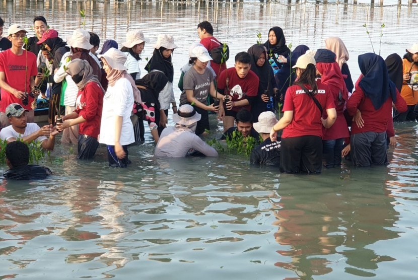 Mahasiswa IPB menanam 1.000 bibit mangrove di Pulau Pramuka.