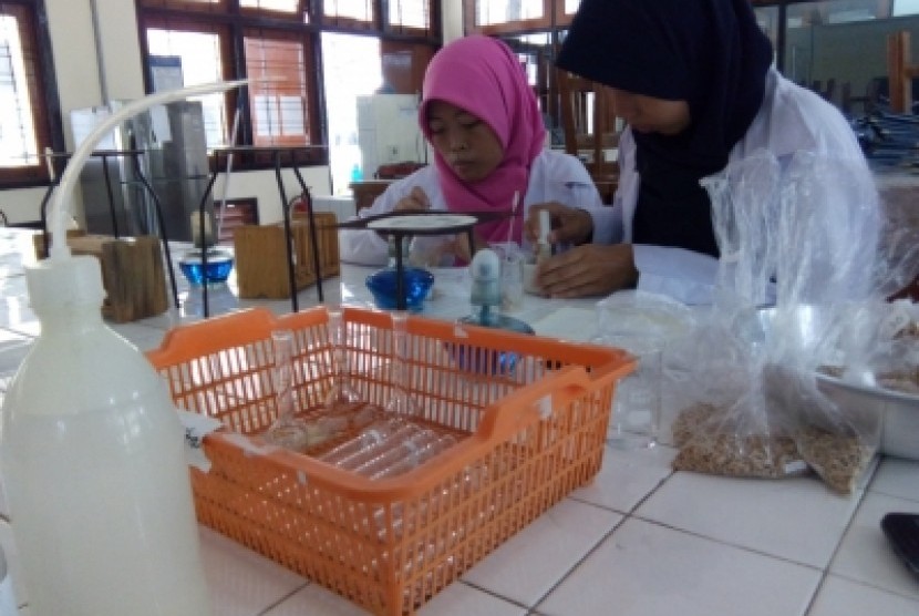 Mahasiswa Prodi Pendidikan IPA, Fakultas MIPA, Universitas Negeri  Yogyakarta (UNY) yang mengkreasikan tepung talas untuk membuat beras  analog. 