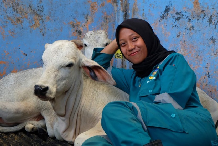Mahasiswi Prodi Peternakan, Universitas Muhammadiyah Malang (UMM) angkatan 2016, Luthfin ‘Abidah terpilih untuk mengikuti program dari  NTCA Indonesia Australia Pastoral Program (NIAPP) 2019 di Australia. 