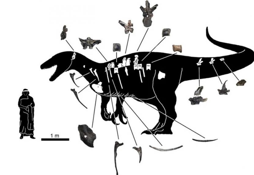 Maip macrothorax kerabat Megaraptora terbesar yang ditemukan di Argentina.