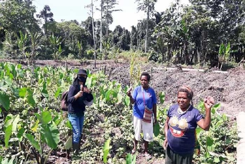 Mama-mama Papua di Kampung Nawaripi, Distrik Wania mengapresiasi dukungan penyuluh pertanian dari Kabupaten Mimika, Provinsi Papua.