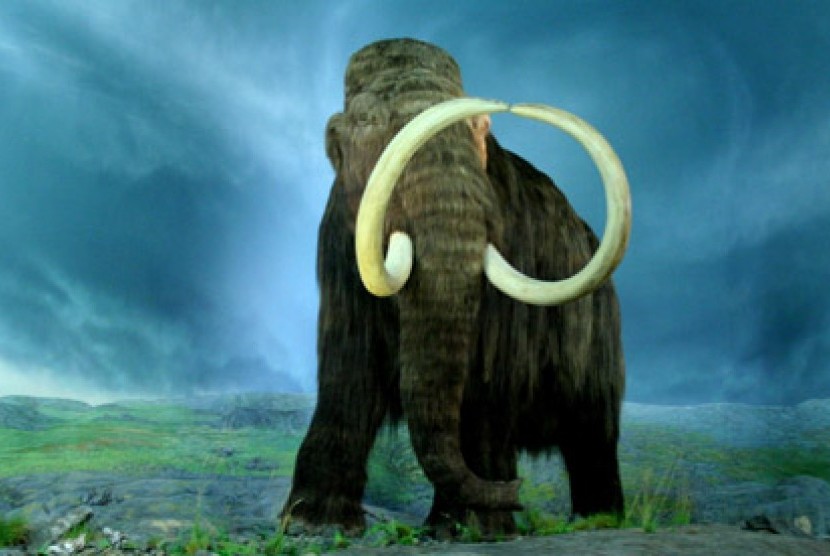 Mammoth.