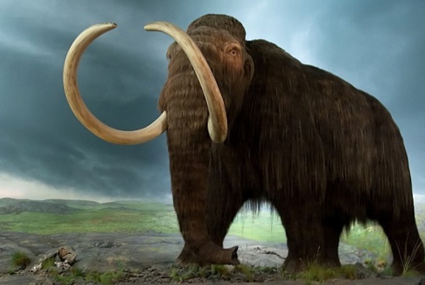 Mammoth. Ilustrasi