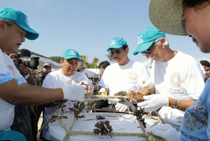 Managing Director and Chairwoman of IMF Christine Lagarde plants coral reefs at Sofitel Beach, Nusa Dua, Bali, Sunday.