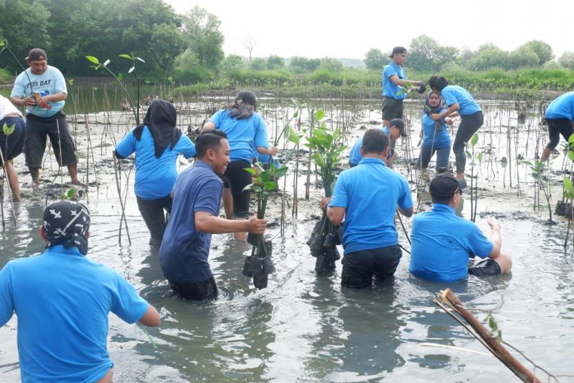 Manajemen dan staf Crown Prince Hotel Surabaya melakukan tanam bibit mangrove di hutan mangrove Gununganyar.