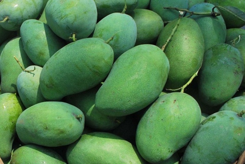 Mango is among commodities to be exported to New Zealand. (illustration)