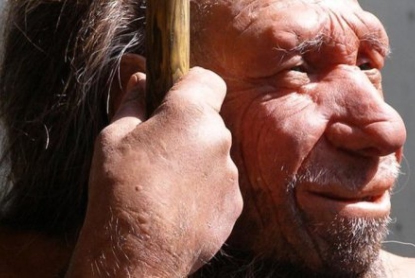 Manusia Neanderthal 