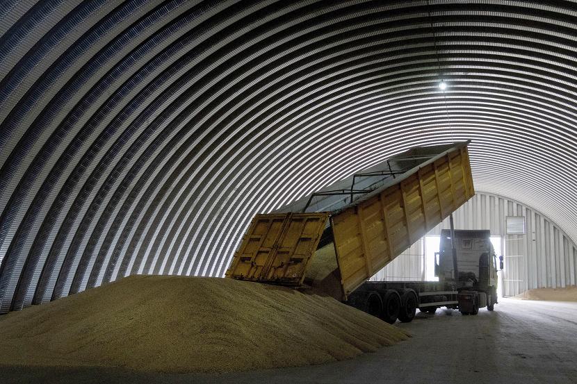Bongkar muat gandum (ilustrasi). Uni Eropa sepakat memperpanjang penangguhan pembatasan impor dari Ukraina selama satu tahun.
