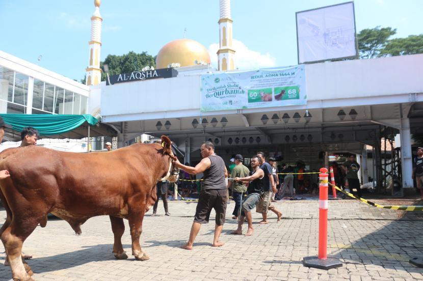 Masjid Al Aqsha De Latinos di kawasan BSD (Bumi Serpong Damai) tahun ini kembali mencatatkan hewan kurban berupa 61 sapi dan 72 domba/kambing senilai Rp 1,7 miliar. 