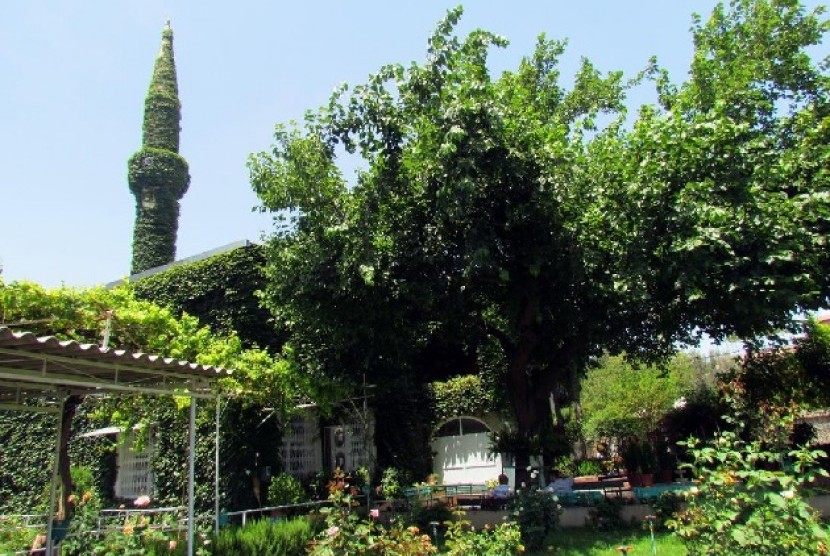 Pesona Masjid Hijau di Turki. Foto: Masjid Yesil Turki