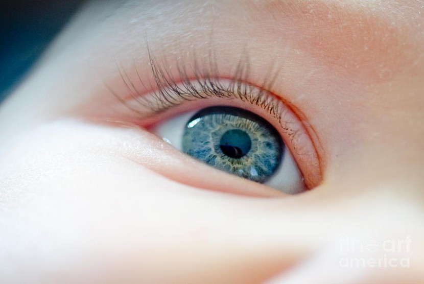 Mata bayi perlu distimulasi agar penglihatannya sempurna.
